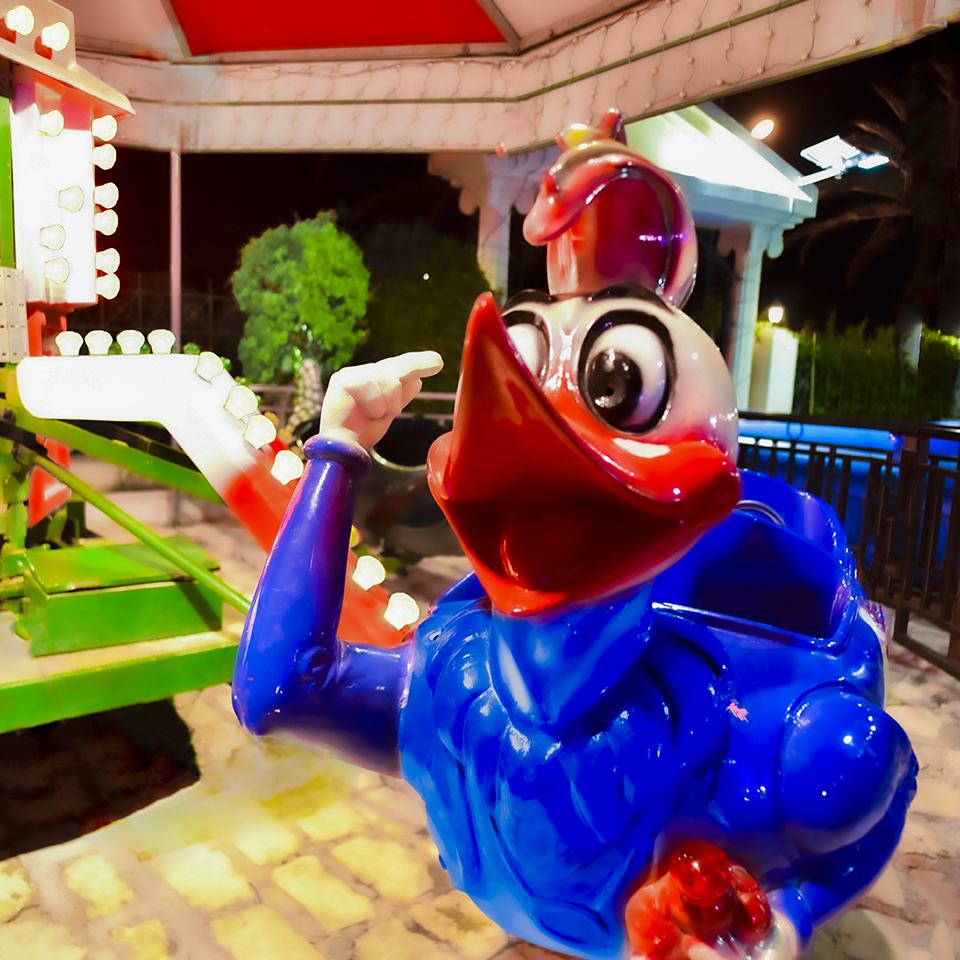 miniduck-1