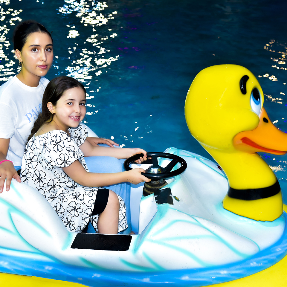 goosepool-2
